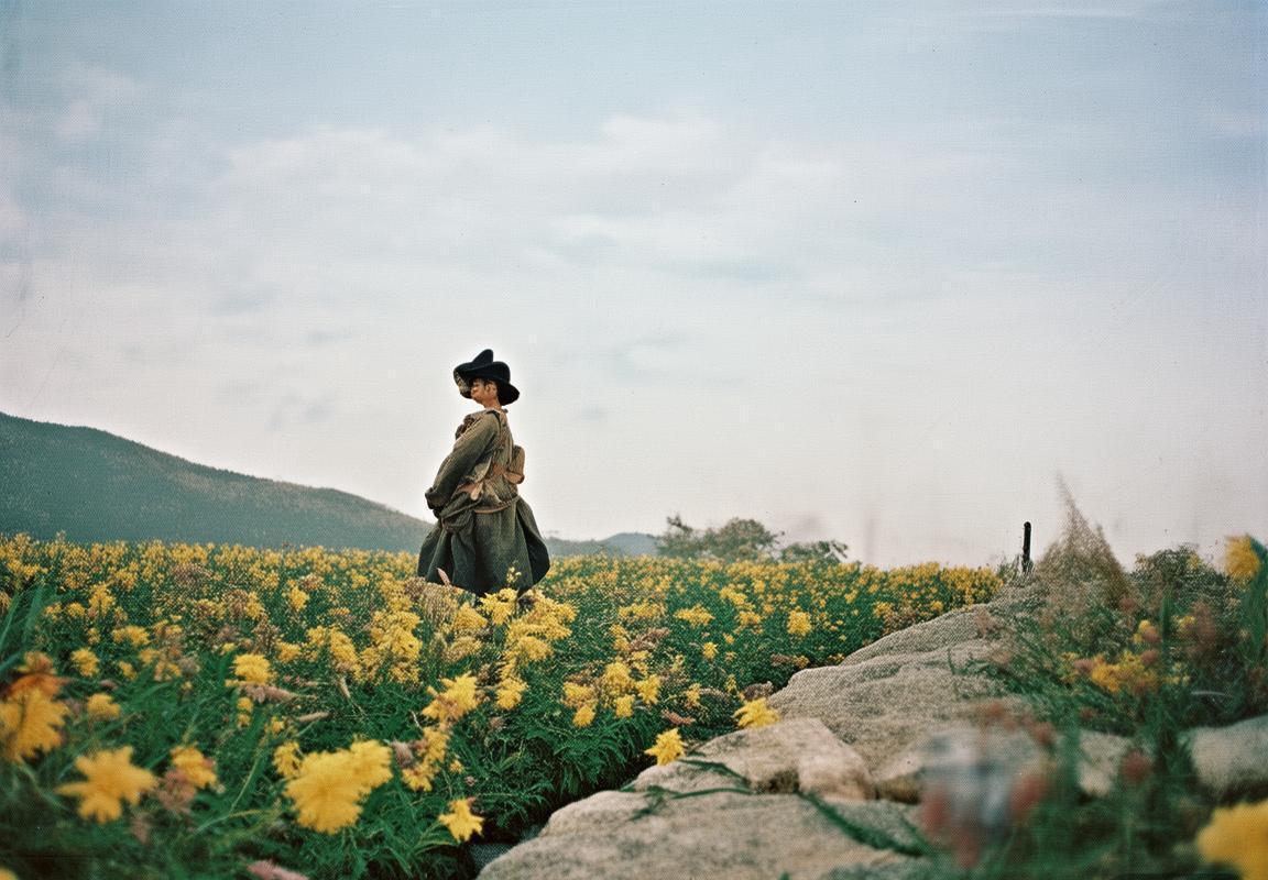 卡姆·斯宾塞：以持球投射能力与攻防一体表现，成为孟菲斯灰熊的进攻枢纽